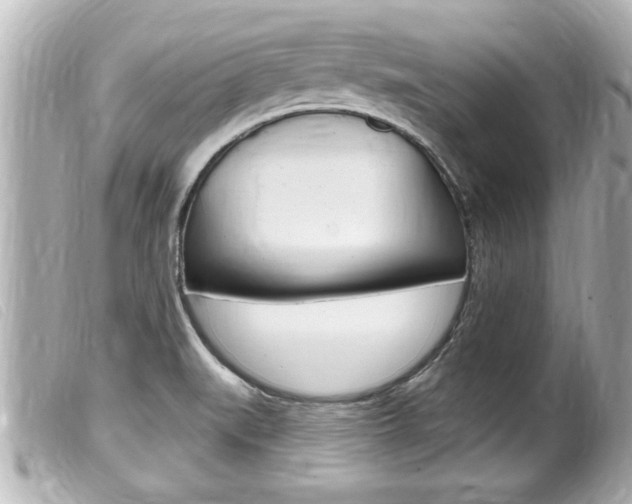 X0000100211519200805300715