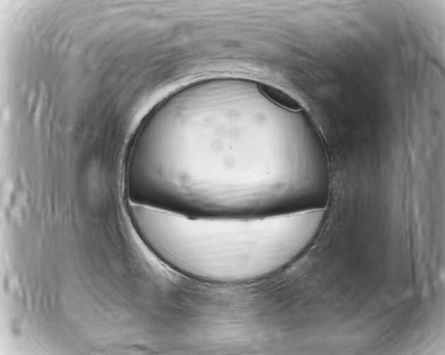 X0000100211523200805300715