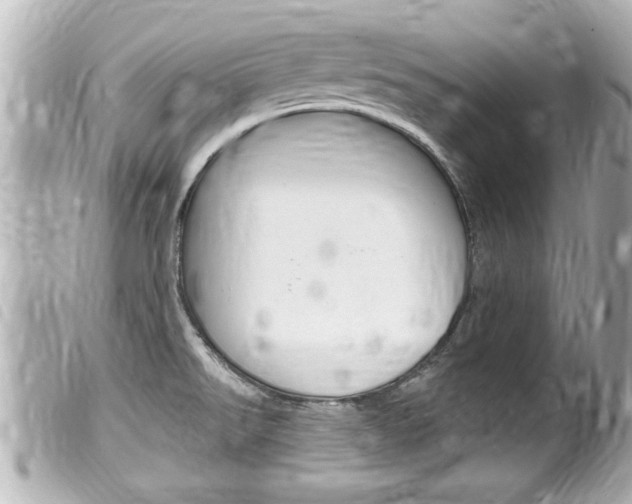 X0000100211526200805300715
