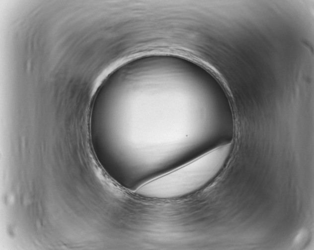 X0000100211530200805300715