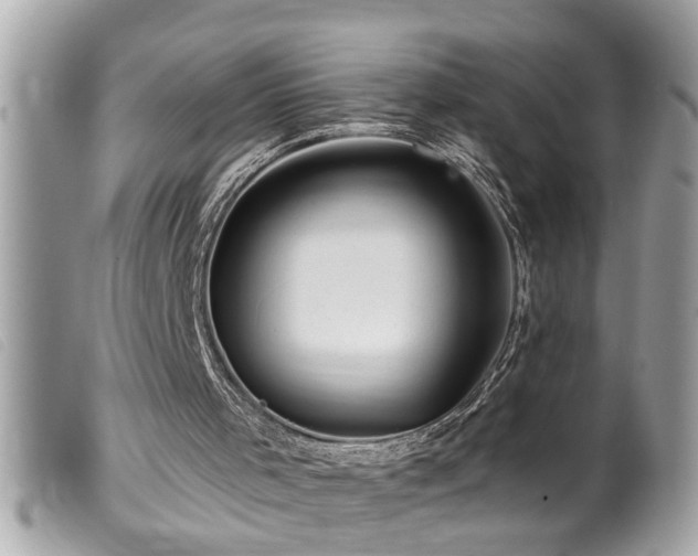 X0000100210001200805301335