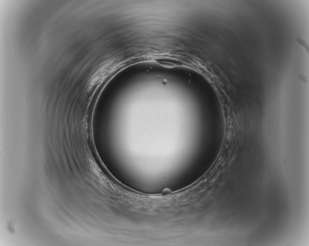 X0000100210002200805301335