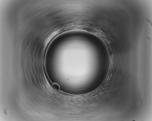 X0000100210003200805301335