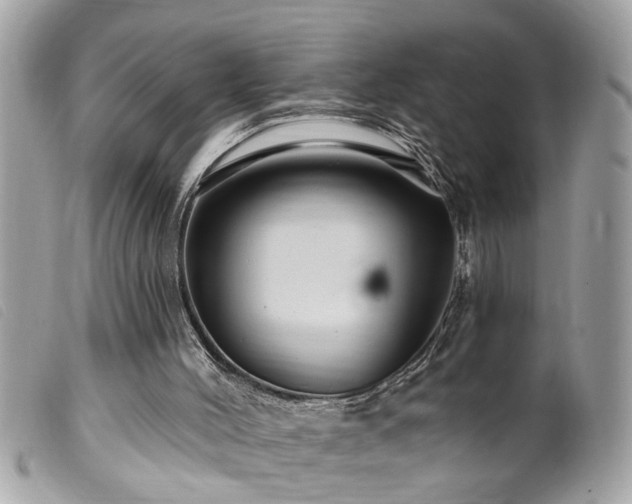 X0000100210004200805301335