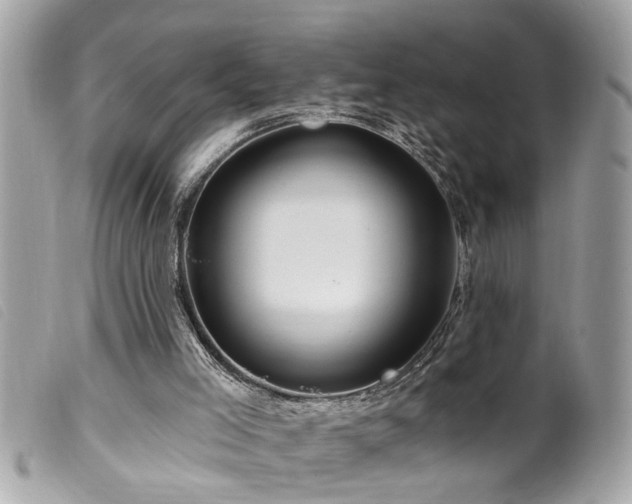 X0000100210005200805301335