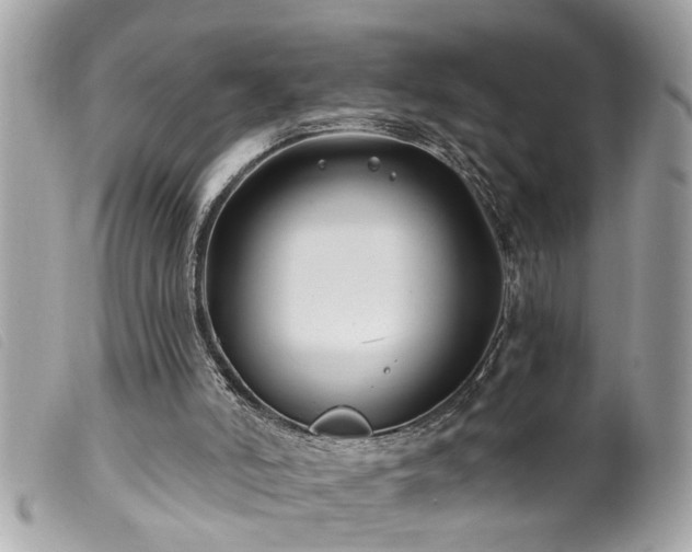 X0000100210006200805301335