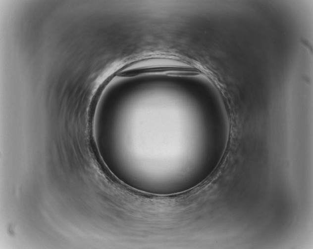 X0000100210008200805301335