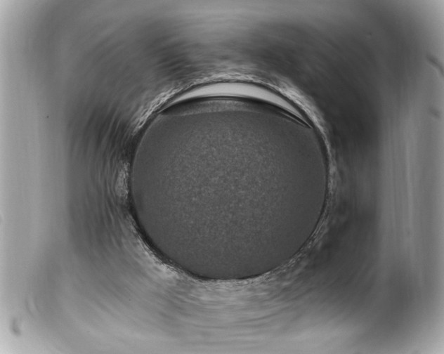 X0000100210009200805301335