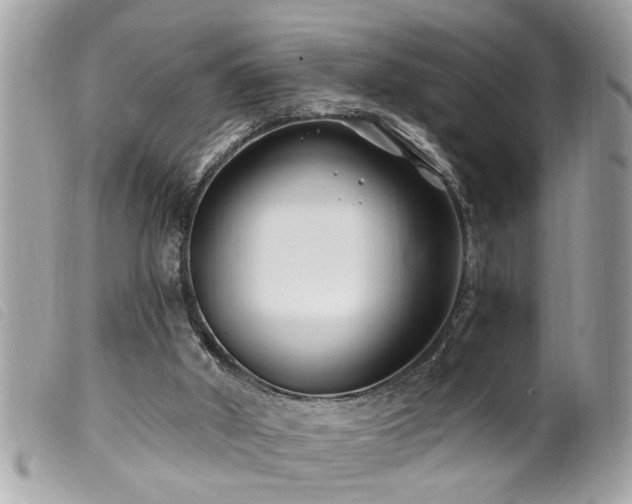 X0000100210010200805301335