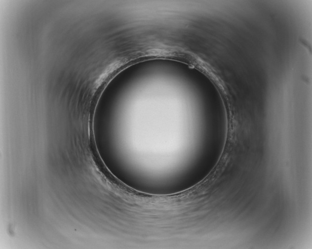 X0000100210011200805301335