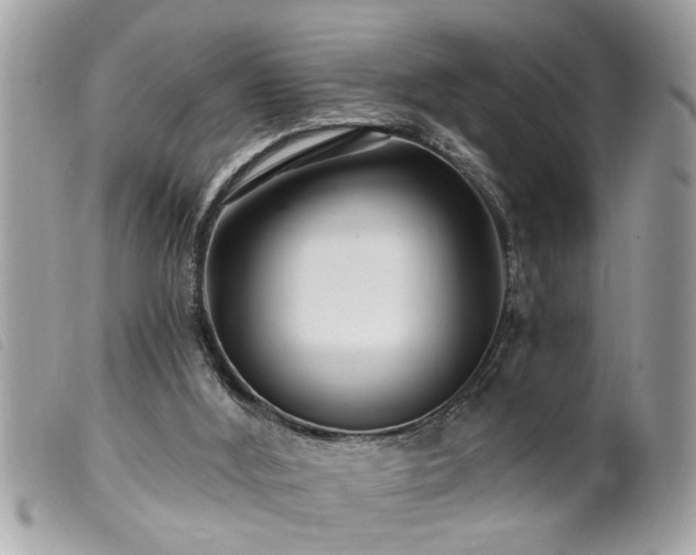 X0000100210012200805301335