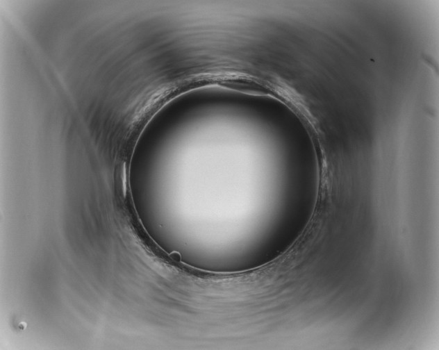 X0000100210013200805301335