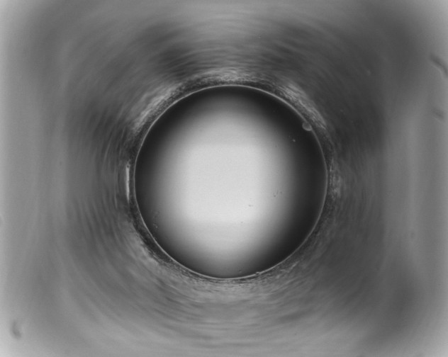 X0000100210014200805301335