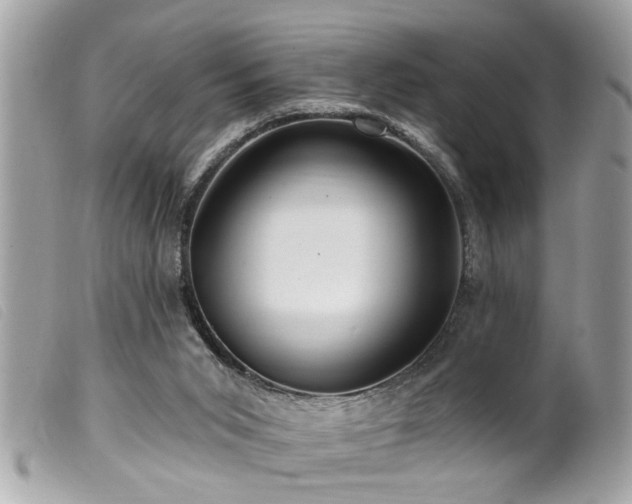 X0000100210015200805301335