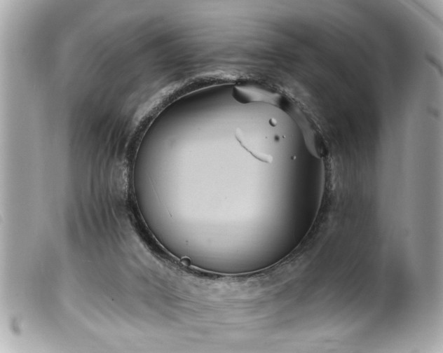 X0000100210016200805301335