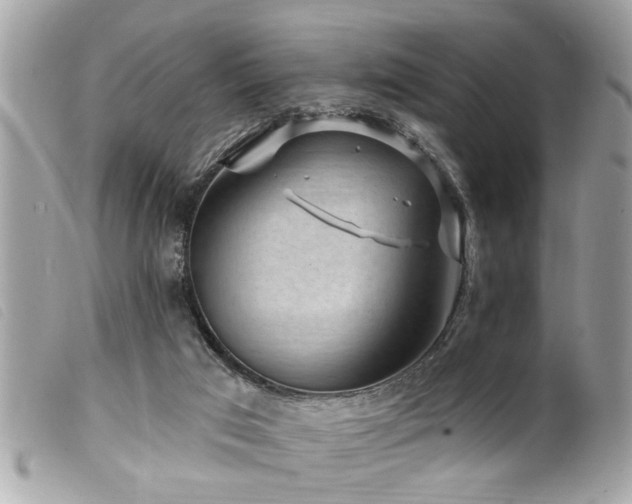 X0000100210017200805301335