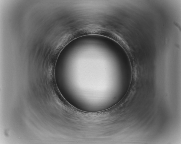 X0000100210018200805301335