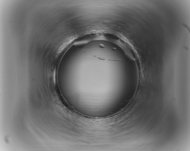 X0000100210019200805301335