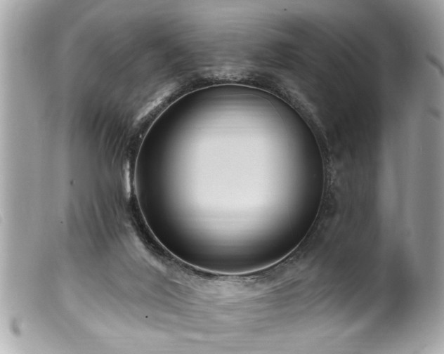 X0000100210020200805301335