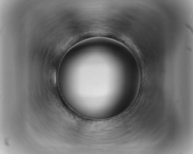 X0000100210021200805301335