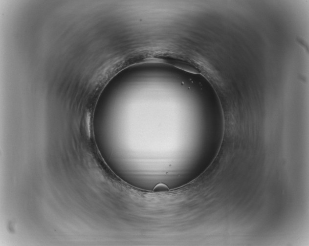 X0000100210022200805301335