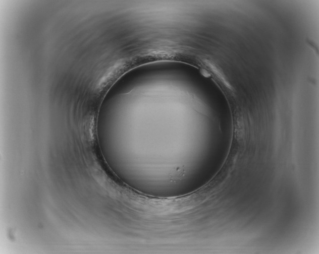 X0000100210023200805301335