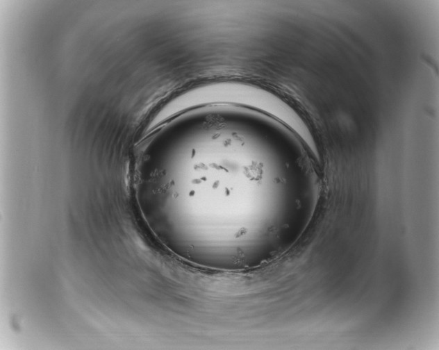 X0000100210024200805301335