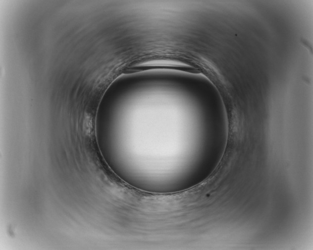 X0000100210025200805301335