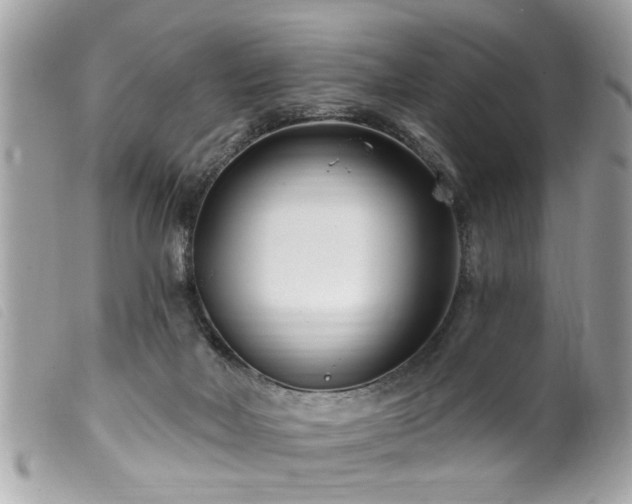 X0000100210026200805301335