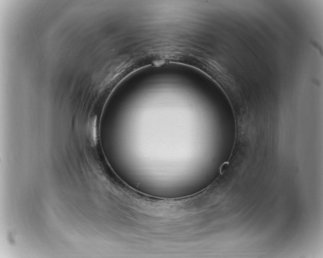 X0000100210028200805301335