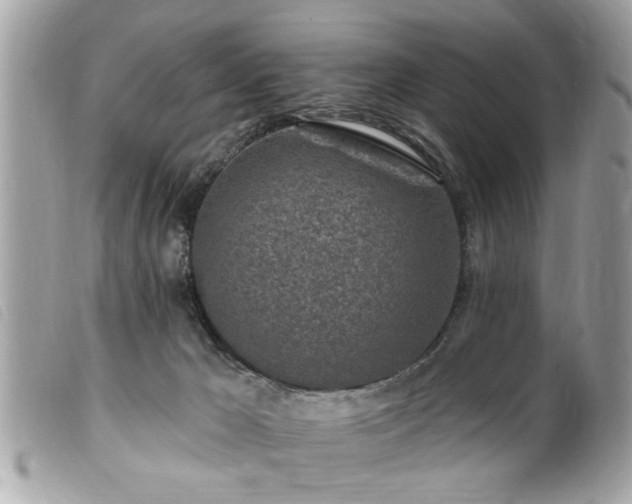 X0000100210029200805301335