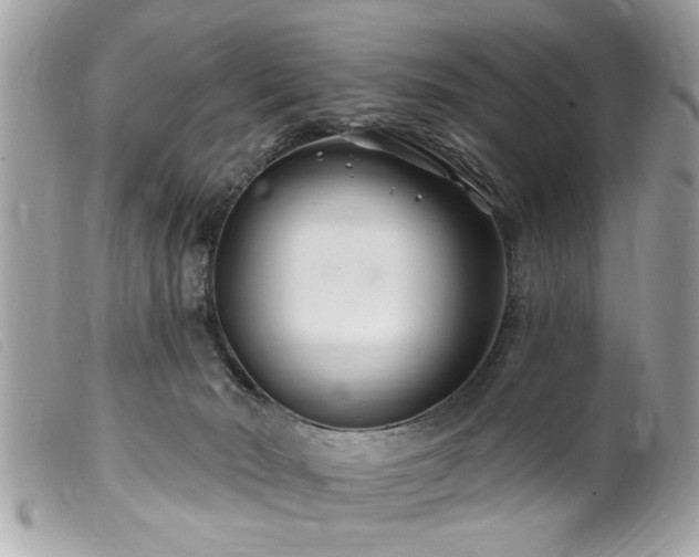 X0000100210030200805301335