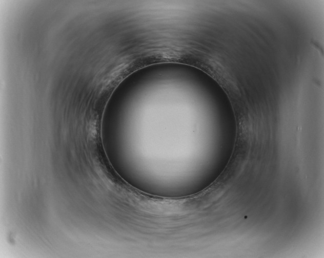 X0000100210032200805301335