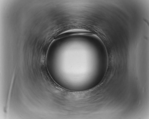 X0000100210033200805301335