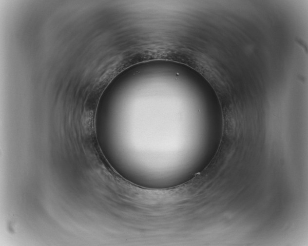 X0000100210034200805301335