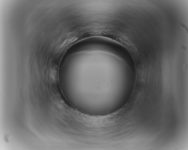 X0000100210035200805301335