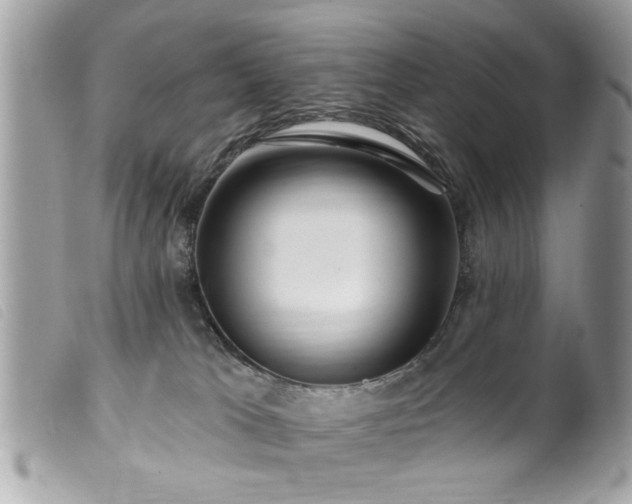 X0000100210037200805301335