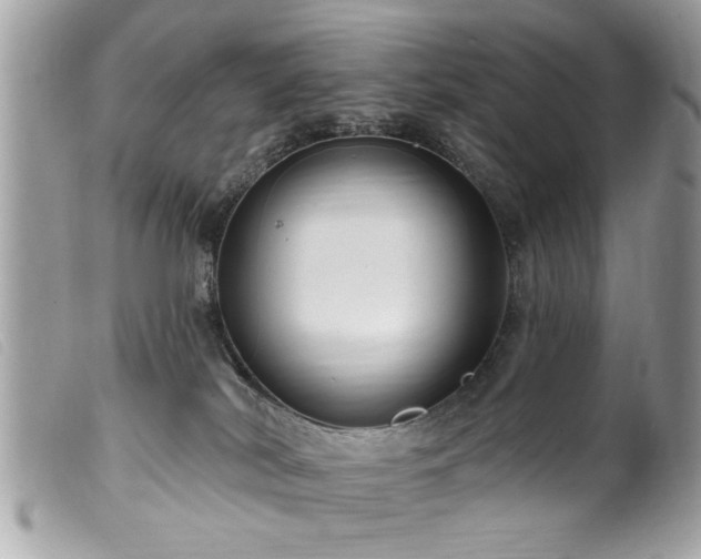 X0000100210038200805301335