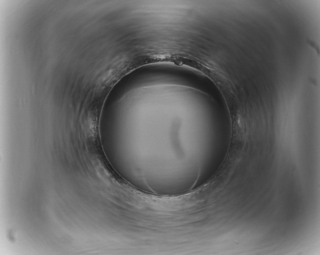 X0000100210039200805301335