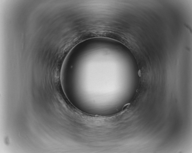 X0000100210040200805301335