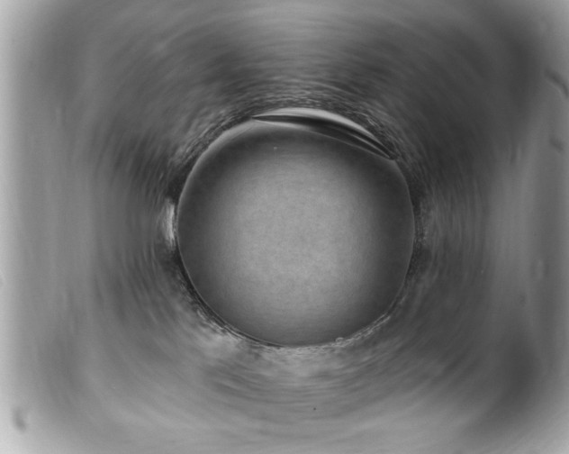 X0000100210041200805301335