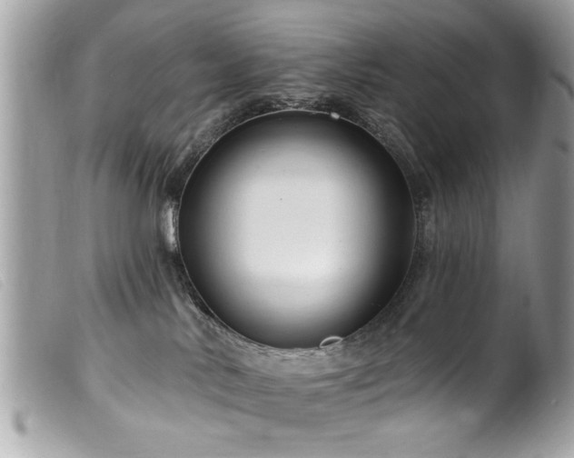 X0000100210042200805301335