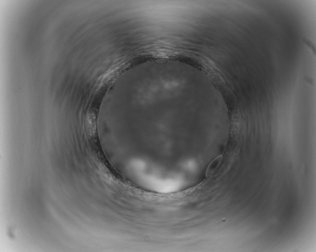 X0000100210043200805301335