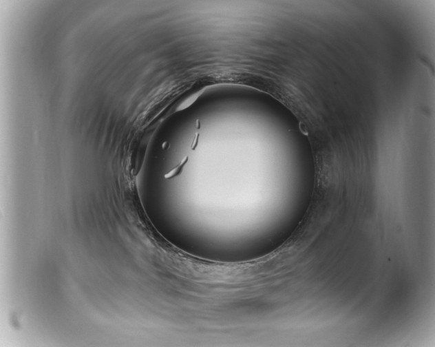 X0000100210044200805301335