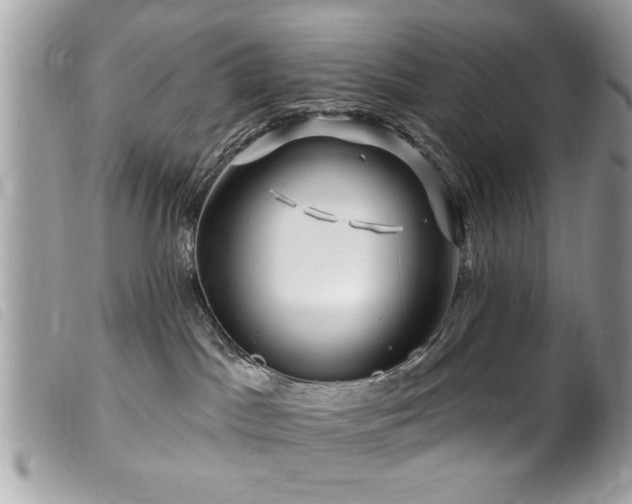 X0000100210045200805301335