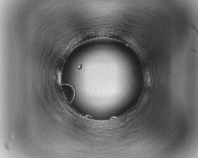 X0000100210046200805301335