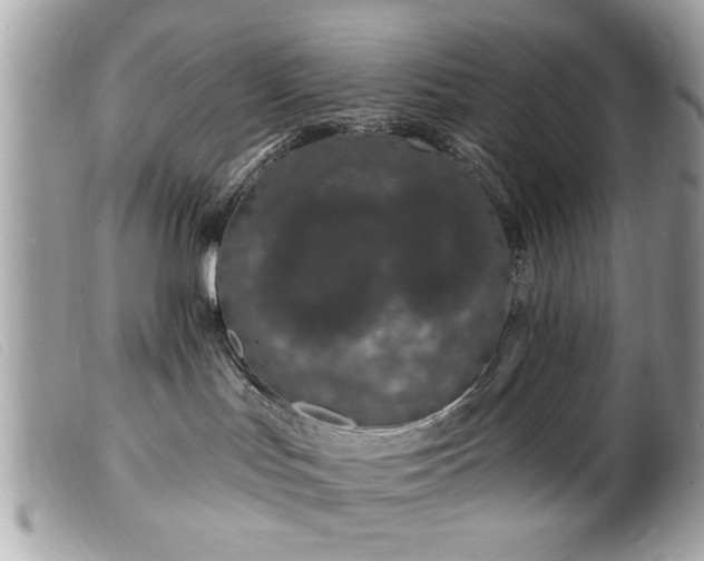 X0000100210047200805301335