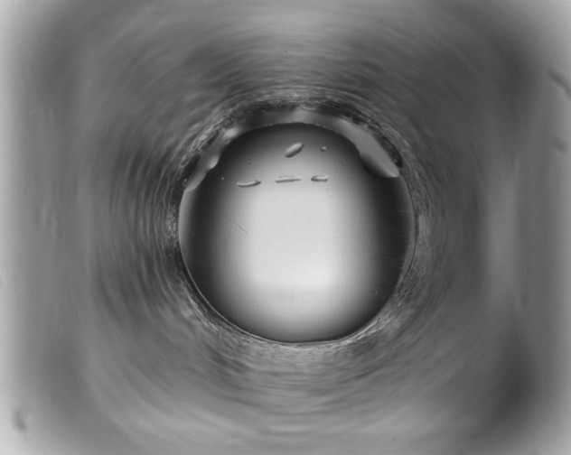 X0000100210048200805301335