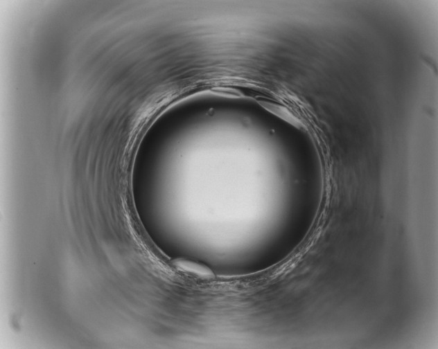 X0000100210049200805301334