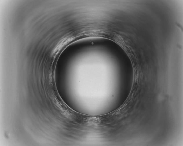 X0000100210050200805301334